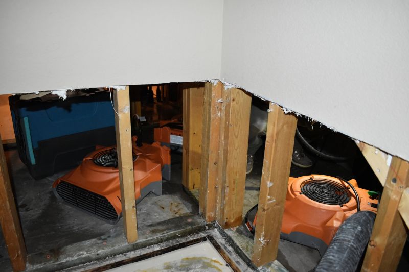 Water Damage Remediation